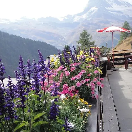 Haus St. Bernhard Zermatt
