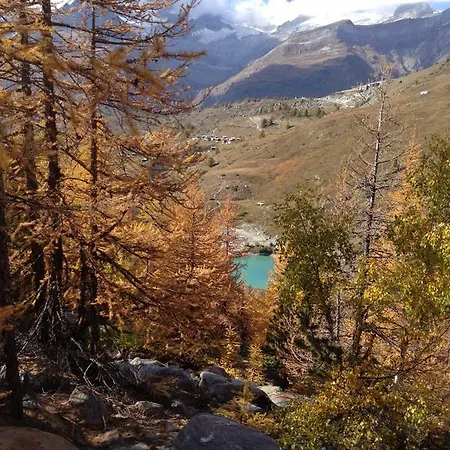Haus St. Bernhard * Zermatt