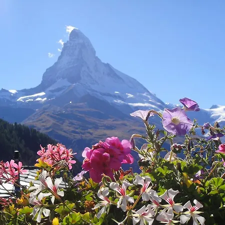Apartment Haus St. Bernhard Zermatt