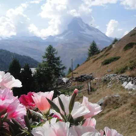 Haus St. Bernhard * Zermatt